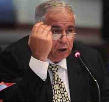 أسامة الألفي