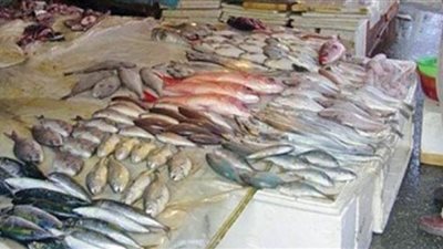 مجلس الوحدة الاقتصادية يتابع تأسيس شركة قابضة للأسماك