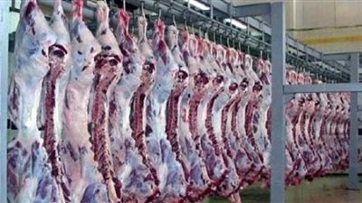 تجارية البحيرة تواجه ارتفاع أسعار اللحوم الحمراء والبيضاء