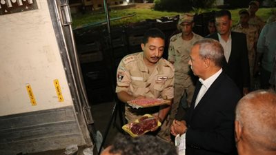 محافظ قنا: طرح 11 طنًا من اللحوم الحمراء بالأسواق