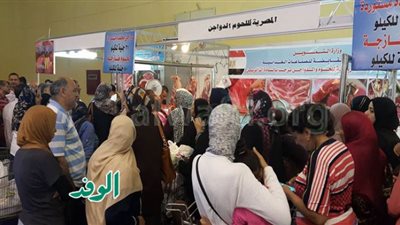 شاهد.. قائمة أسعار السمك واللحوم بمعرض