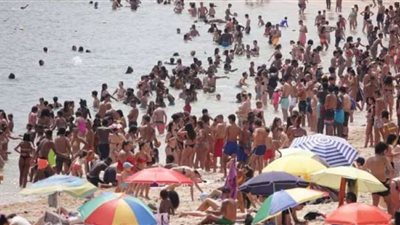 كائنات بحرية تطارد البريطانيين على الشواطئ