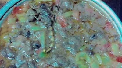 مدير المدن الجامعية يكشف تفاصيل اكتشاف عقرب داخل «طبق فول»