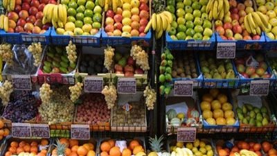استقرار أسعار الفاكهة اليوم