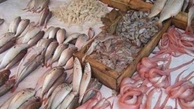 تعرف على أسعار الأسماك في سوق العبور اليوم