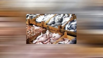 ننشر أسعار الأسماك بتعاملات اليوم الجمعة