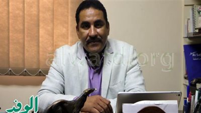 عبد العاطي المناعي: خريطة الاستشفاء البيئي تضع مصر على خريطة السياحة