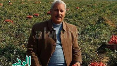 نقيب الفلاحين يكشف سبب ارتفاع أسعار الطماطم