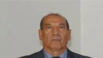 رئيس الدستوري الجزائري: قرار تعديل الدستور جاء استجابة لمطالب الحراك الشعبي