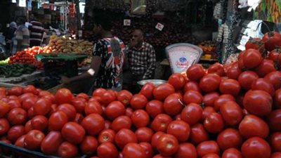 انحفاض كبير في أسعار الطماطم والخضراوات بالمنيا