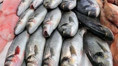 ننشر أسعار الأسماك في سوق العبور اليوم