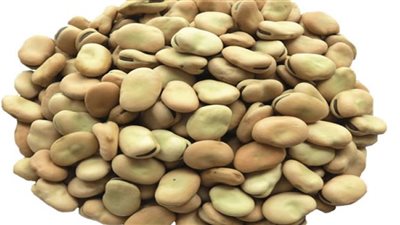 أهمية الفول في تعزيز الصحة العامة