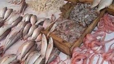 استقرار أسعار الأسماك.. والبلطي بـ21 جنيهًا