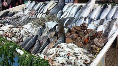 تعرّف على أسعار الأسماك في سوق العبور اليوم