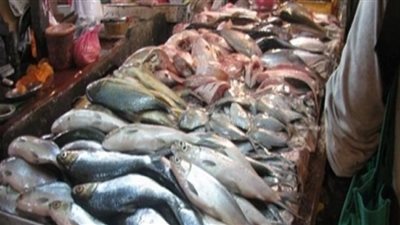 تباين في أسعارالأسماك اليوم السبت