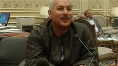 نقيب الفلاحين: مصر حققت طفرة في مجال الزراعة
