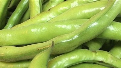 فوائد عديدة لتناول الفول الأخضر أهمها انقاص الوزن