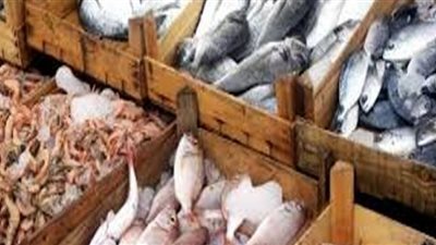 أسعار الأسماك في سوق العبور اليوم ٢٤ يونيو