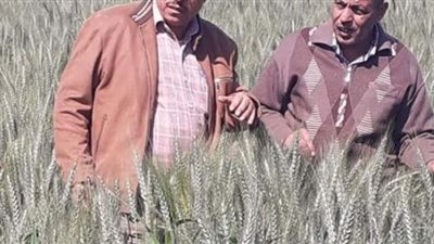 تشكيل لجان لمكافحة الآفات والتوعية بزراعة الفيوم