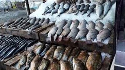 ننشر أسعار الأسماك اليوم السبت.. والبلطي بـ21.5 جنيه