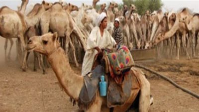 الإفراج عن 2720 