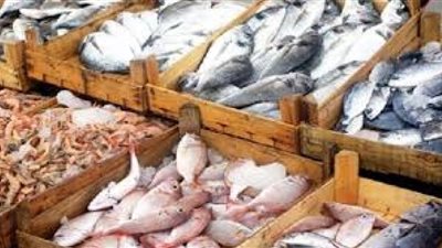 ننشر أسعار الأسماك اليوم الأحد.. والبلطي بـ21.5 جنيه
