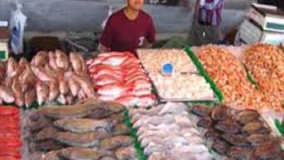 ننشر أسعار الأسماك اليوم الثلاثاء.. والبلطي بـ21 جنيهًا