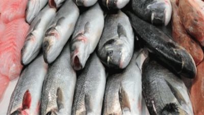 أسعار الأسماك في سوق العبور اليوم الأربعاء