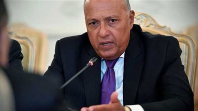 شكري يبحث تعزيز استثمارات الشركات اليابانية الكبرى في الأسواق الأفريقية