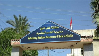 تعرف على أنشطة مديرية طب بيطري كفر الشيخ