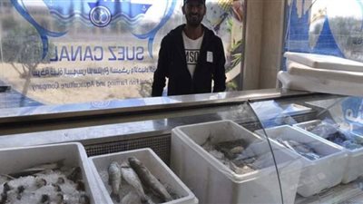 ننشر أسعار الأسماك بمنفذ بيع شركة قناة السويس