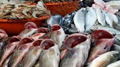 ننشر أسعار الأسماك بسوق العبور..البلطي بـ21.5 جنيه