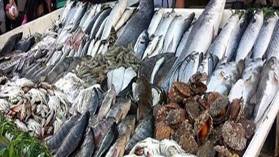 ننشر أسعار الأسماك في سوق العبور اليوم الجمعة
