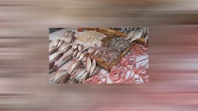 ننشر أسعار السمك اليوم الاثنين