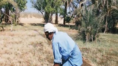 نقص المياه والأسمدة وارتفاع مستلزمات الإنتاج أبرز مشاكل الفلاحين