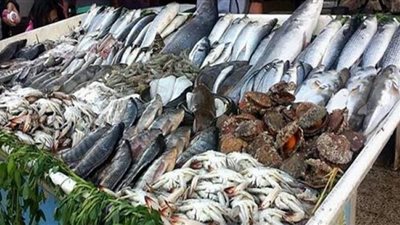 نشر أسعار الأسماك بسوق العبور.. والبلطي بـ21.5 جنيه