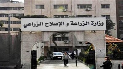 ننشر أسعار تقاوى المحاصيل الزراعية الشتوية