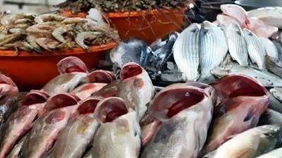 استقرار أسعار الأسماك فى سوق العبور اليوم