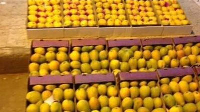 استقرار أسعار الخضراوات بالإسماعيلية وانخفاض سعر المانجو