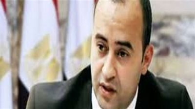 برلماني: مصر أصبحت مركز إقليمي للغاز الطبيعي بشهادة أمريكا