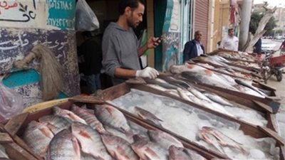 استقرار أسعار الأسماك اليوم الأحد