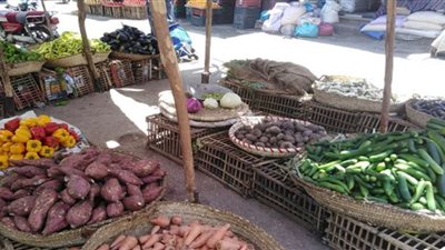 أسعار الخضراوات والفاكهة بأسواق قنا اليوم الجمعة