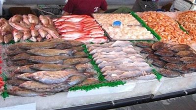 استقرار أسعار الأسماك خلال تعاملات اليوم