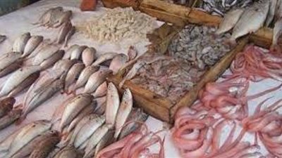 أسعار الأسماك اليوم.. البلطي يصل لـ23 جنيهًا