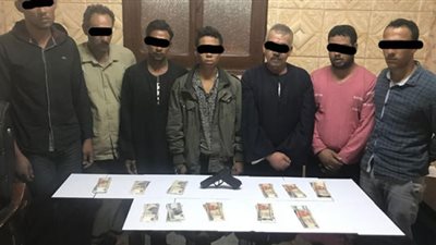 بالصور.. تفاصيل جديدة في سرقة مزرعة ماشية بمنشأة القناطر