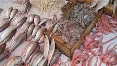 أسعار الأسماك بسوق العبور اليوم الخميس