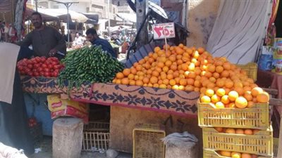 ننشر أسعار أسواق الخضر والفاكهة بمحافظة قنا