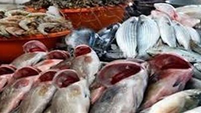 تعرف على أسعار الأسماك بسوق العبور اليوم الأحد