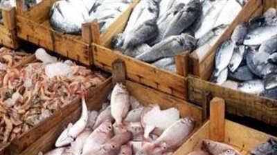 البلطي بـ25 ..تعرف علي أسعار الأسماك اليوم