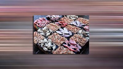 أسعار السمك اليوم.. والبلطي يسجل 25 جنيهًا
